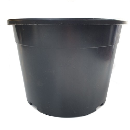 Plant pots litre - plant,