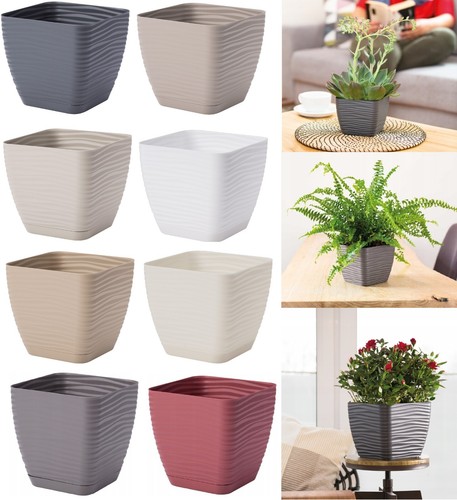Plant pot flowerpot square - plant,