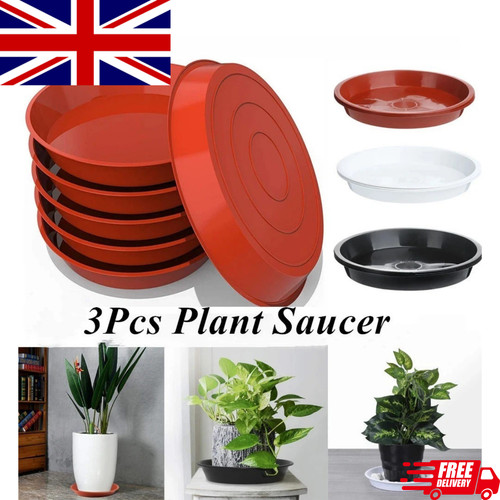 Plant pot saucers round - plant,