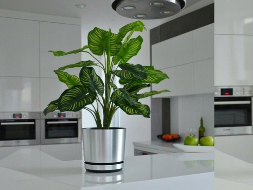Plastic silver plant pot for - plant,