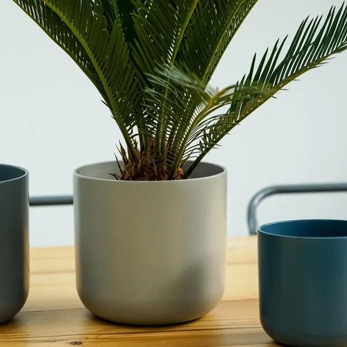 Lisbon ceramic plant - lisbon, pot