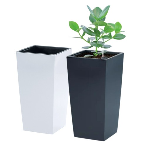 Tall planter plant pot flower - planter,