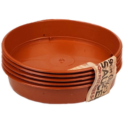 Sankey terracotta plant - terracotta,