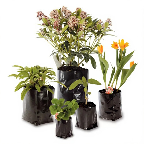 Poly plant pots grow - poly,