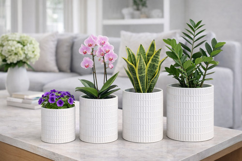 Ceramic plant pots raised - pots,