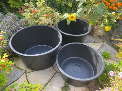Plant pot round garden - plant,