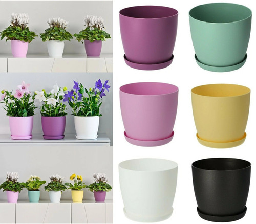 Plant pots flower planter - plant,