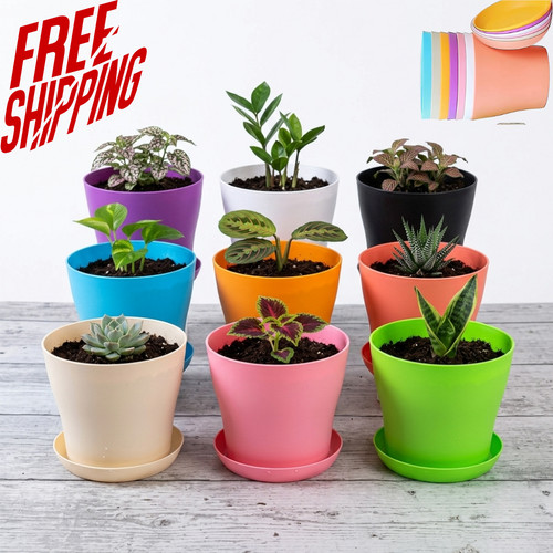 Plant flower pot plastic - flower, 9