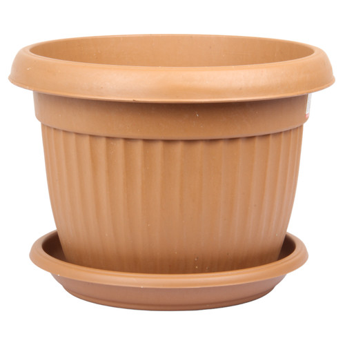 Flower plant pot - plant,