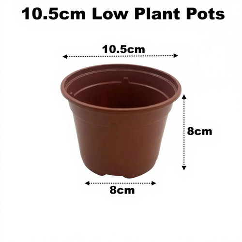 5cm plant pots - plant, terracotta