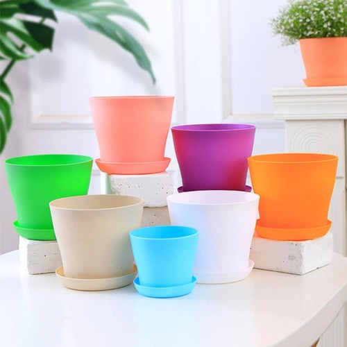 Plant pots flower - plant, planter