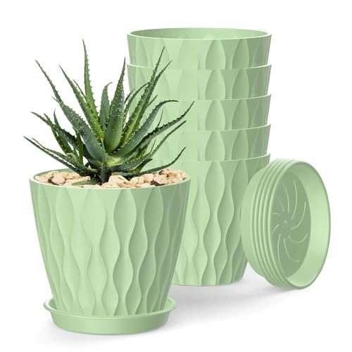 Sqokht 15cm plant pots pack - sqokht, 6