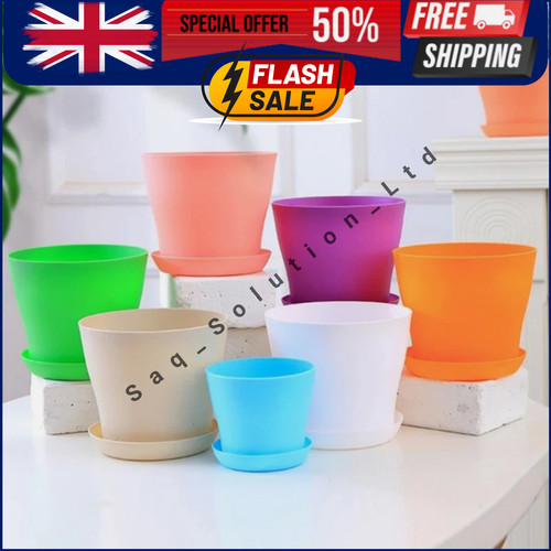 Plant pots flower - plant,