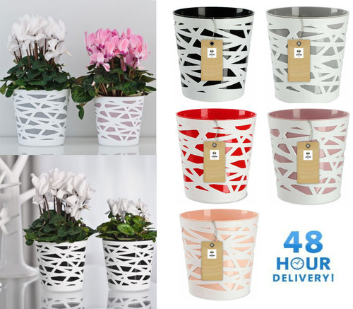 Plant pot planter flowerpot - pot,