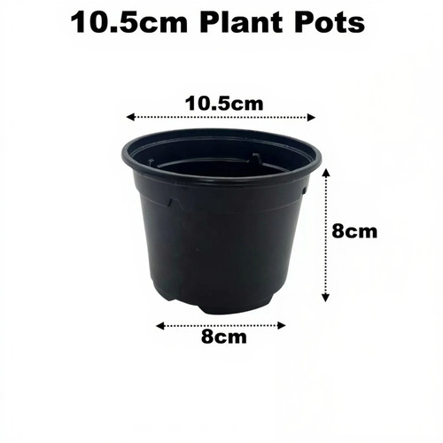 5cm plant pots black - pots,