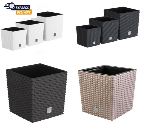 Plant flower pot square - plant,