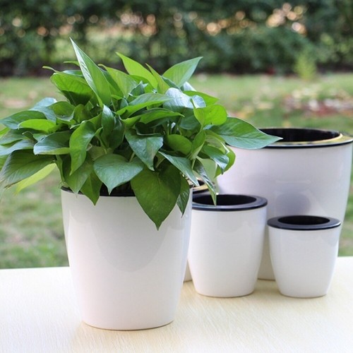 Automatic self watering - automatic,