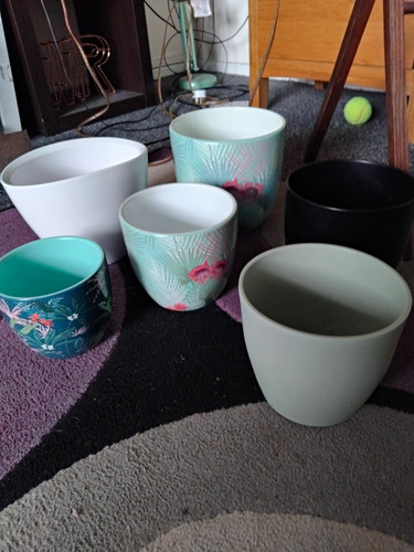 Glazed ceramic round plant - 6x,