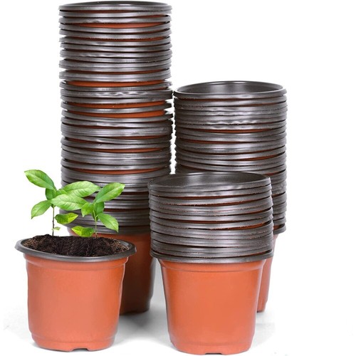 50x plant nursery pot - plant,