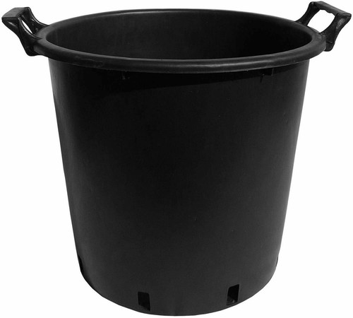 Litre plant pots with - plant,