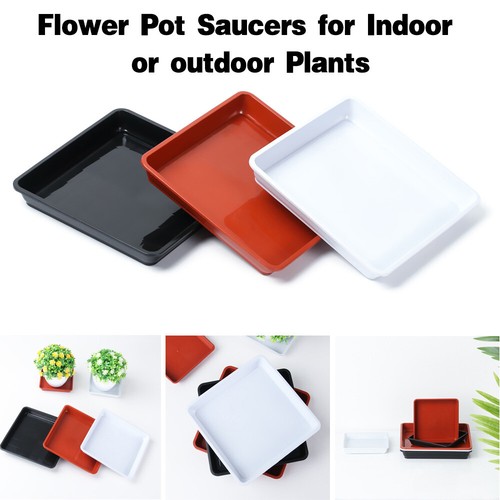 Square plastic plant - square,