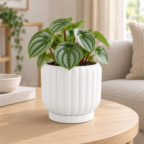 Ceramic style ribbed indoor - ceramic,
