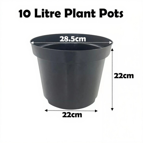Litre black plant - plant, pots