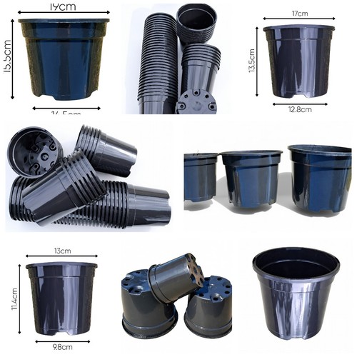 Black plastic plant pots - plant,