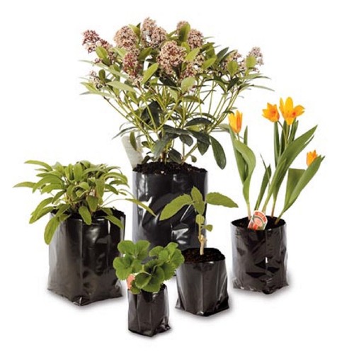 Poly pots strong grow bag - strong,