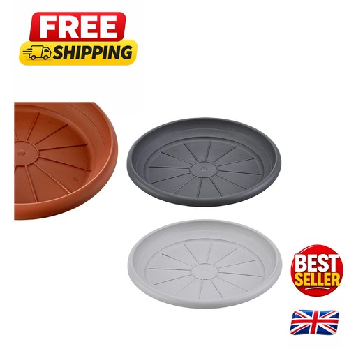 Protective plant pot saucers - plant,