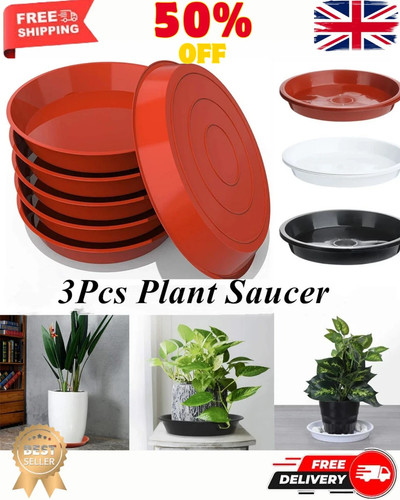 Plant pot saucers round - plant,