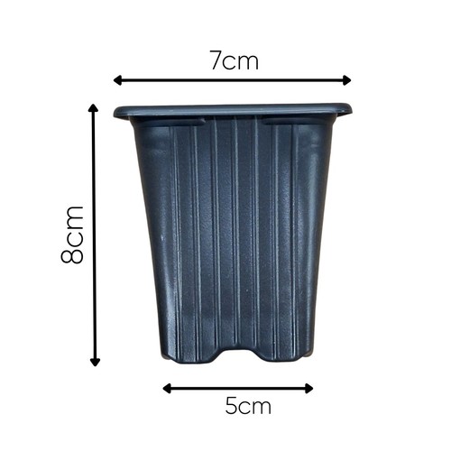 100 7cm square - square, plant