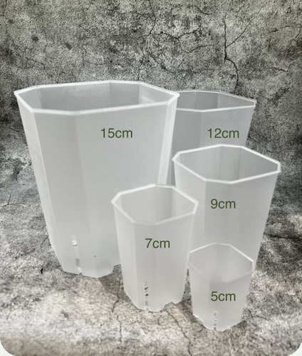 Clear tower aroid plant pots - clear,