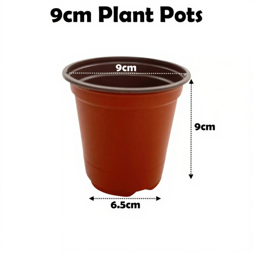 9cm plant pots terracotta - plant,