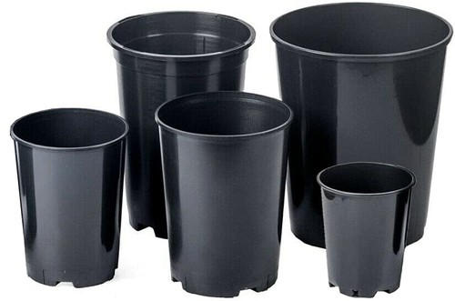 Deep black plastic plant pot - plant,