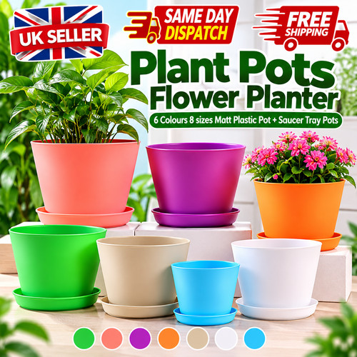 Plant pots flower planter - plant,