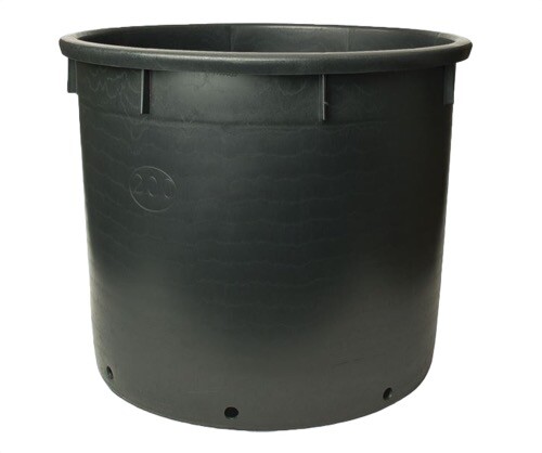 Giant heavy duty plant pots - giant,