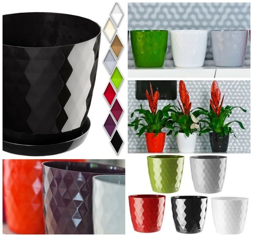 Round plastic crystal plant - round,