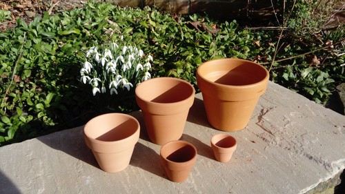 Terracotta clay plant pots - plant,