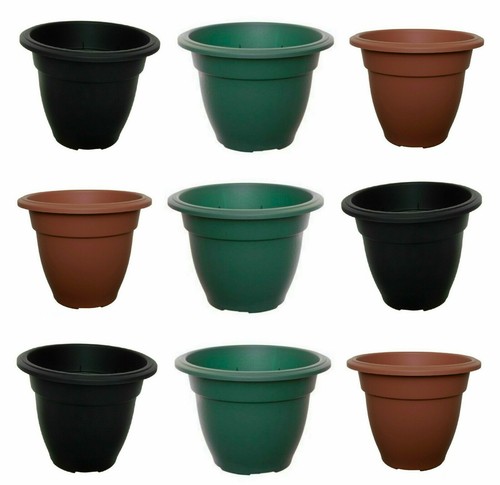 Plastic round plant flower - x,