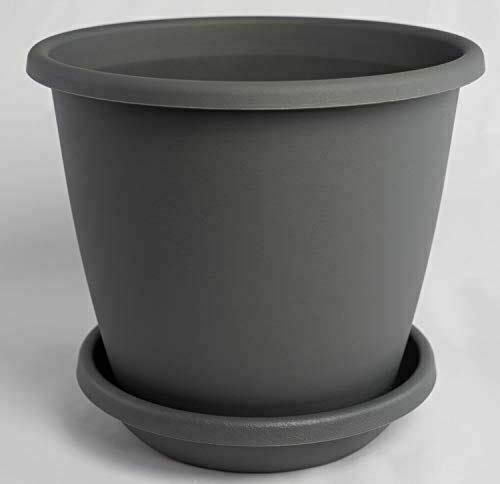 Nevada plant pot - pot, with