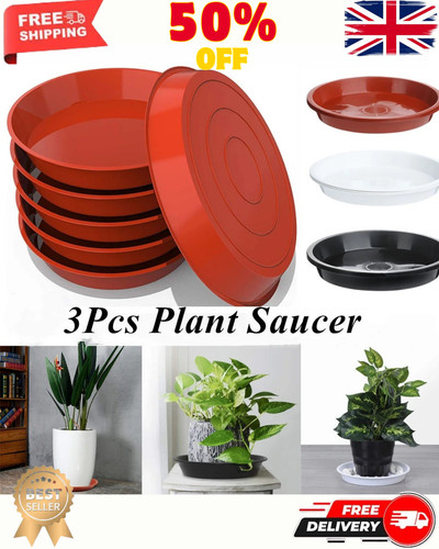 Plant pot saucers round - plant, |